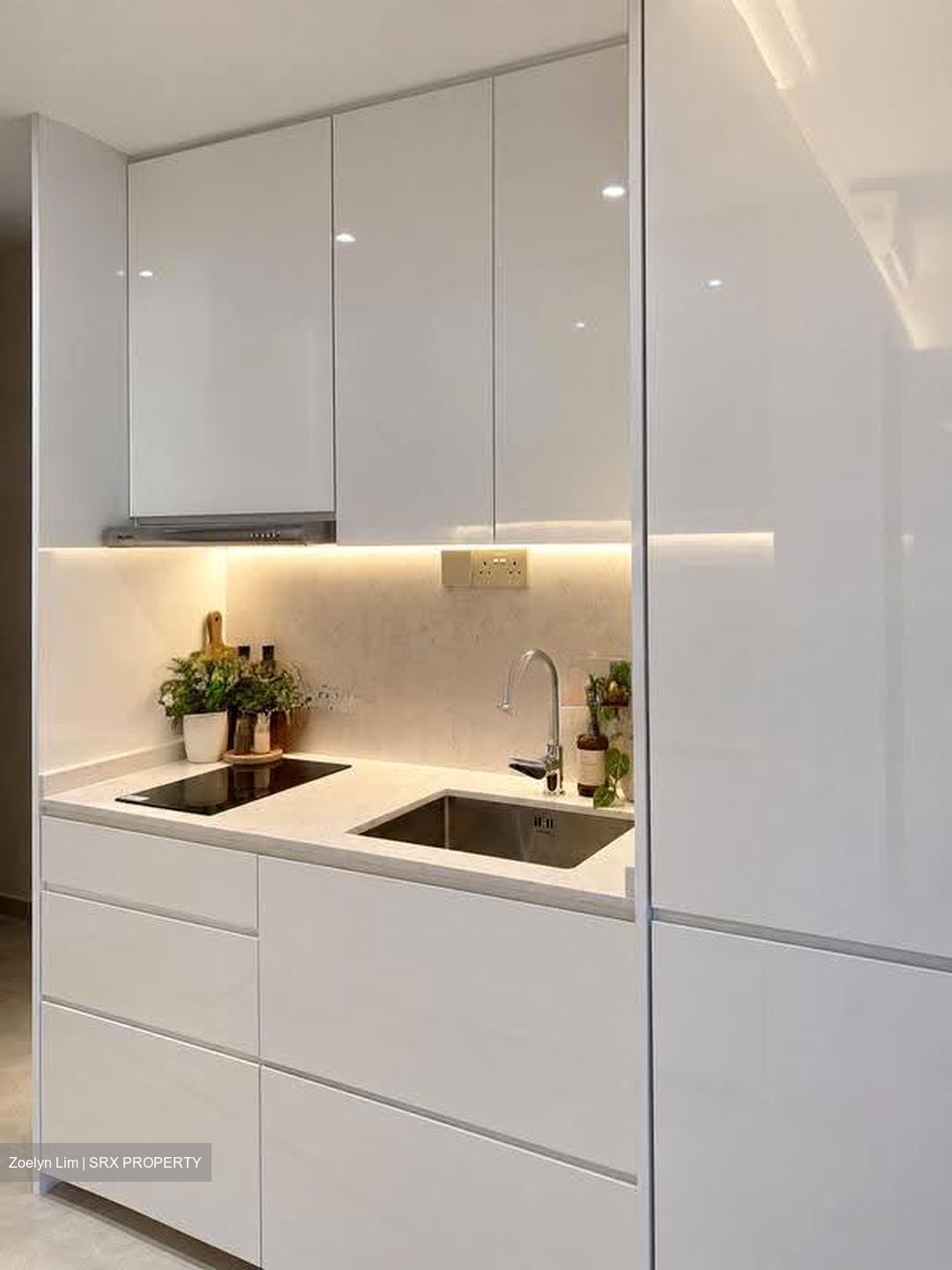 Skysuites@Anson (D2), Apartment #638494111
